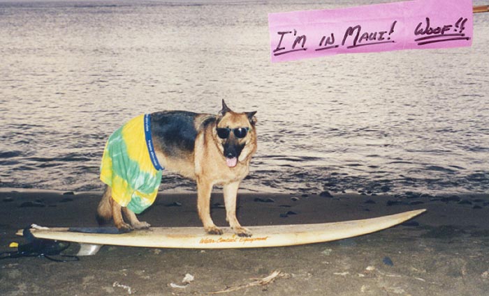 Man, I ought to be able to pick up some good lookin' bitches in these Skivvies!